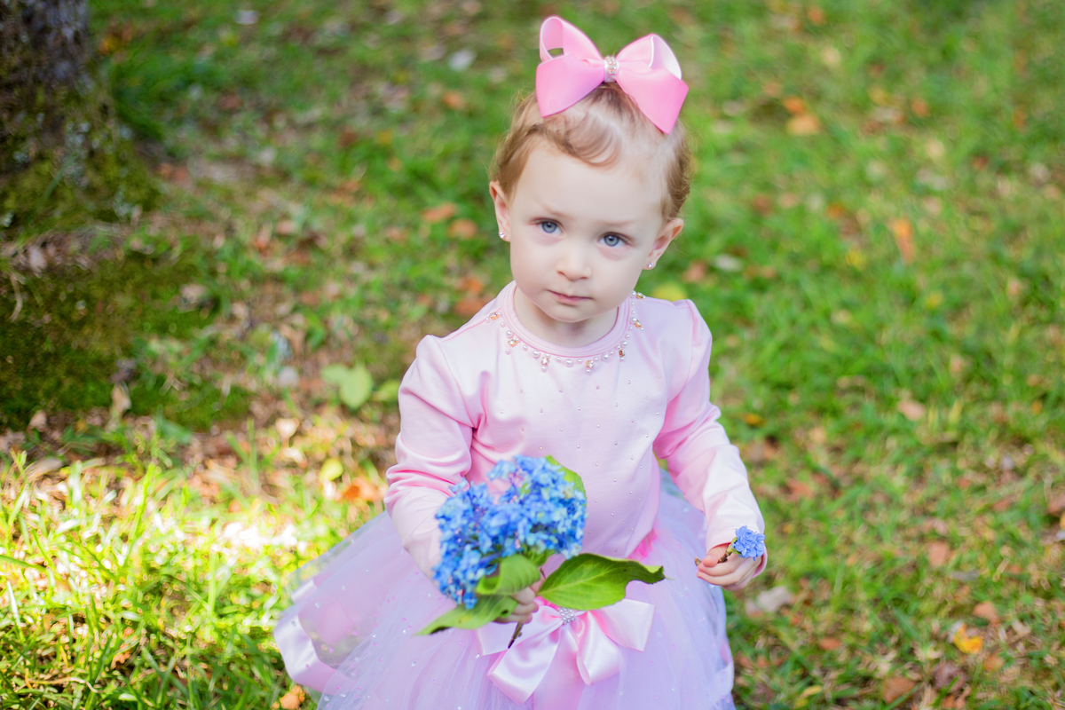 acompanhamento mensal de bebe caxias do sul figurino cenario tematico  personagem foto infantil serra gaucha fotografia familia mundo azul rosa ensaio fotografico crianca newborn baby menino menina smash the cake esmague o bolo banheira urso circo