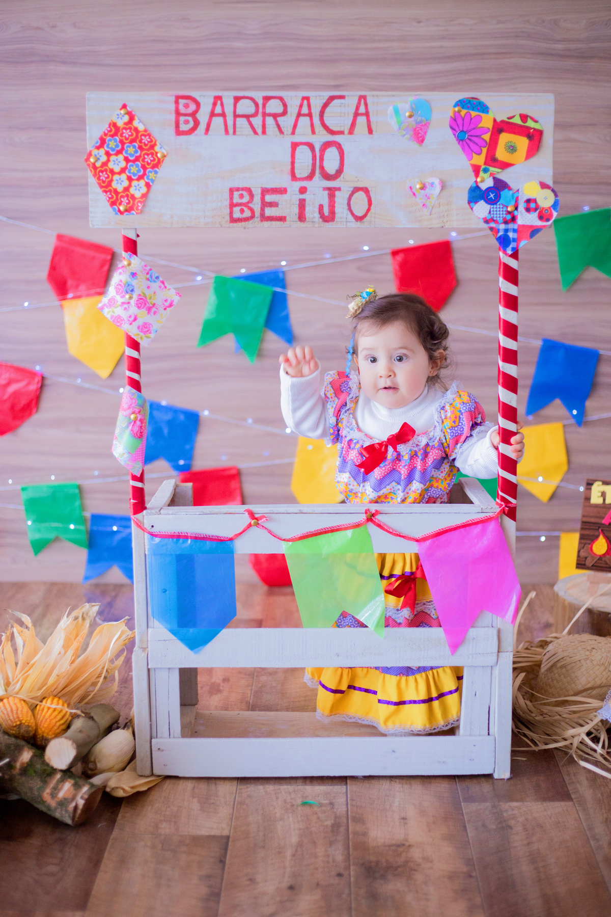acompanhamento mensal de bebe caxias do sul figurino cenario tematico  personagem foto infantil serra gaucha fotografia familia mundo azul rosa ensaio fotografico crianca newborn baby menino menina smash the cake esmague o bolo banheira urso circo