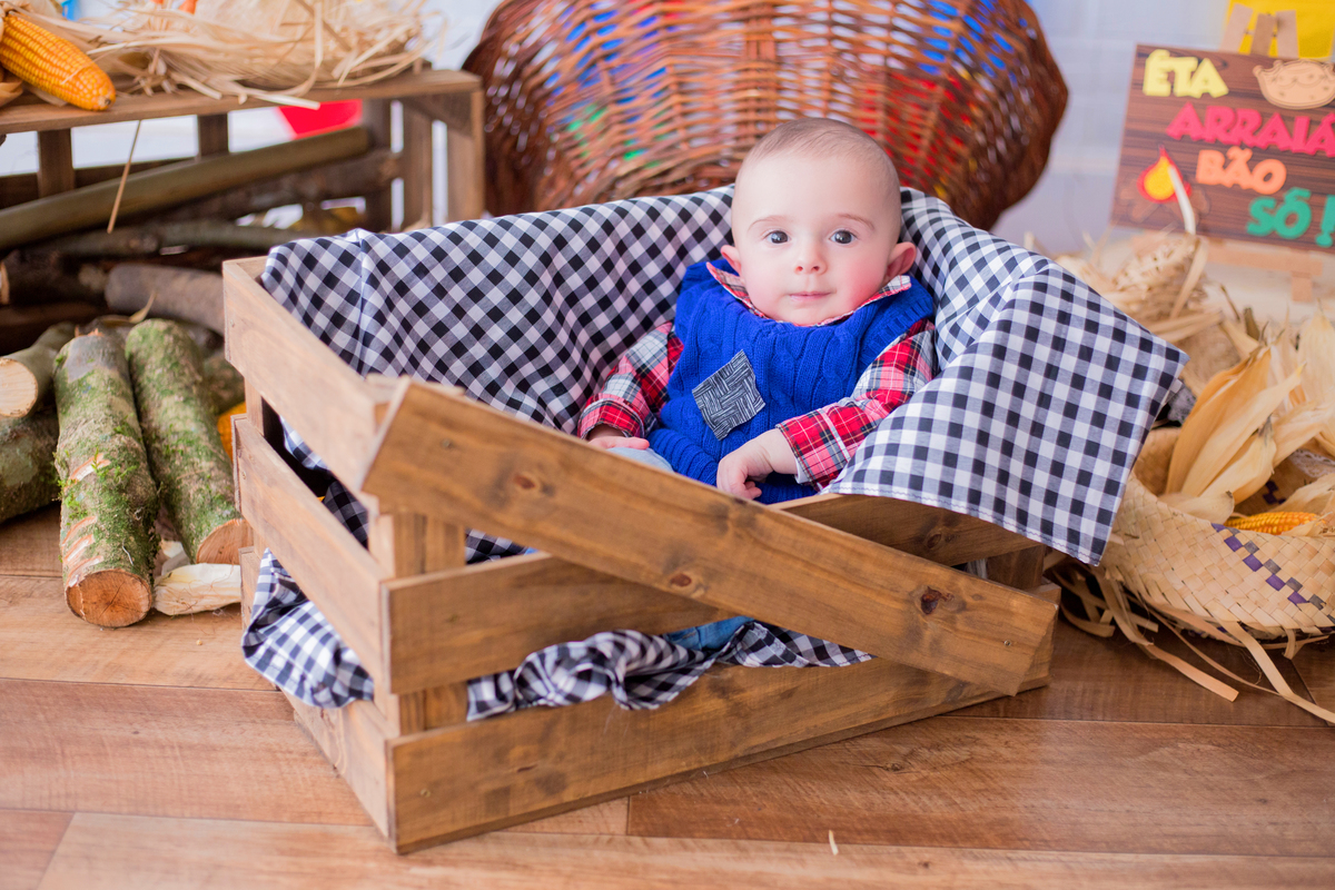acompanhamento mensal de bebe caxias do sul figurino cenario tematico  personagem foto infantil serra gaucha fotografia familia mundo azul rosa ensaio fotografico crianca newborn baby menino menina smash the cake esmague o bolo banheira urso circo