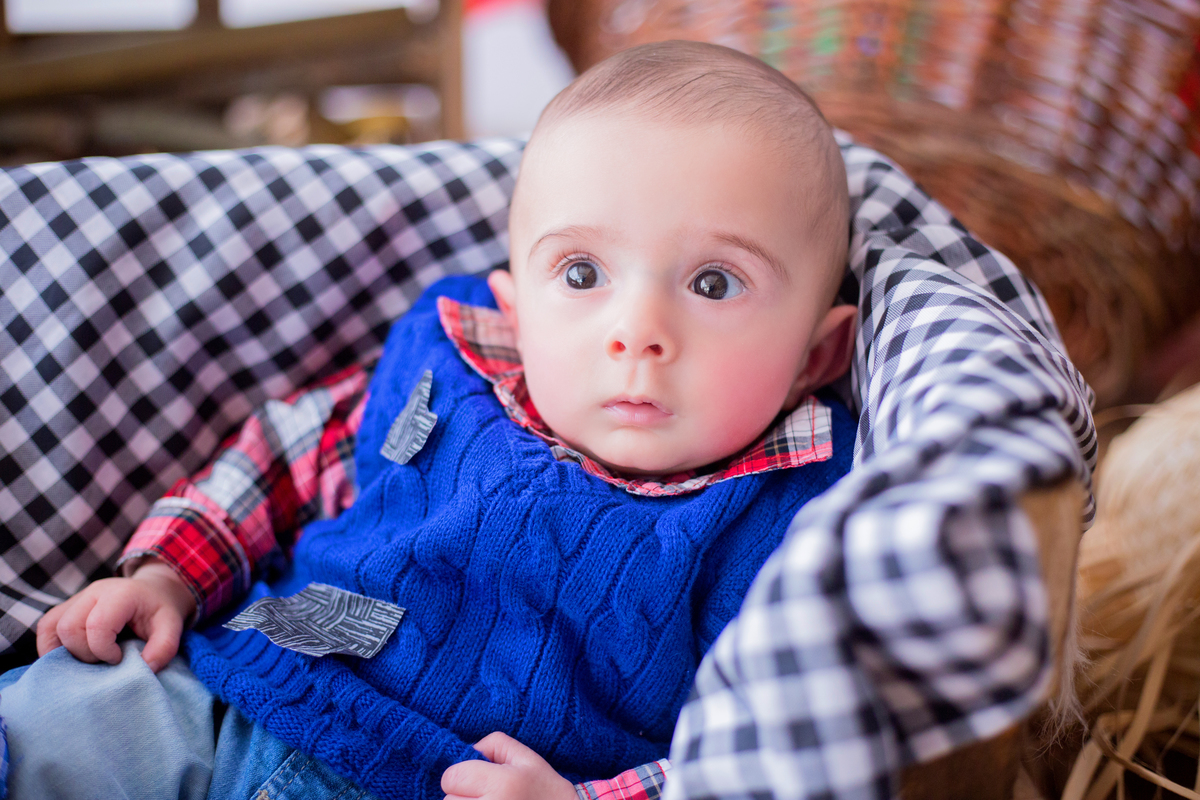 acompanhamento mensal de bebe caxias do sul figurino cenario tematico  personagem foto infantil serra gaucha fotografia familia mundo azul rosa ensaio fotografico crianca newborn baby menino menina smash the cake esmague o bolo banheira urso circo