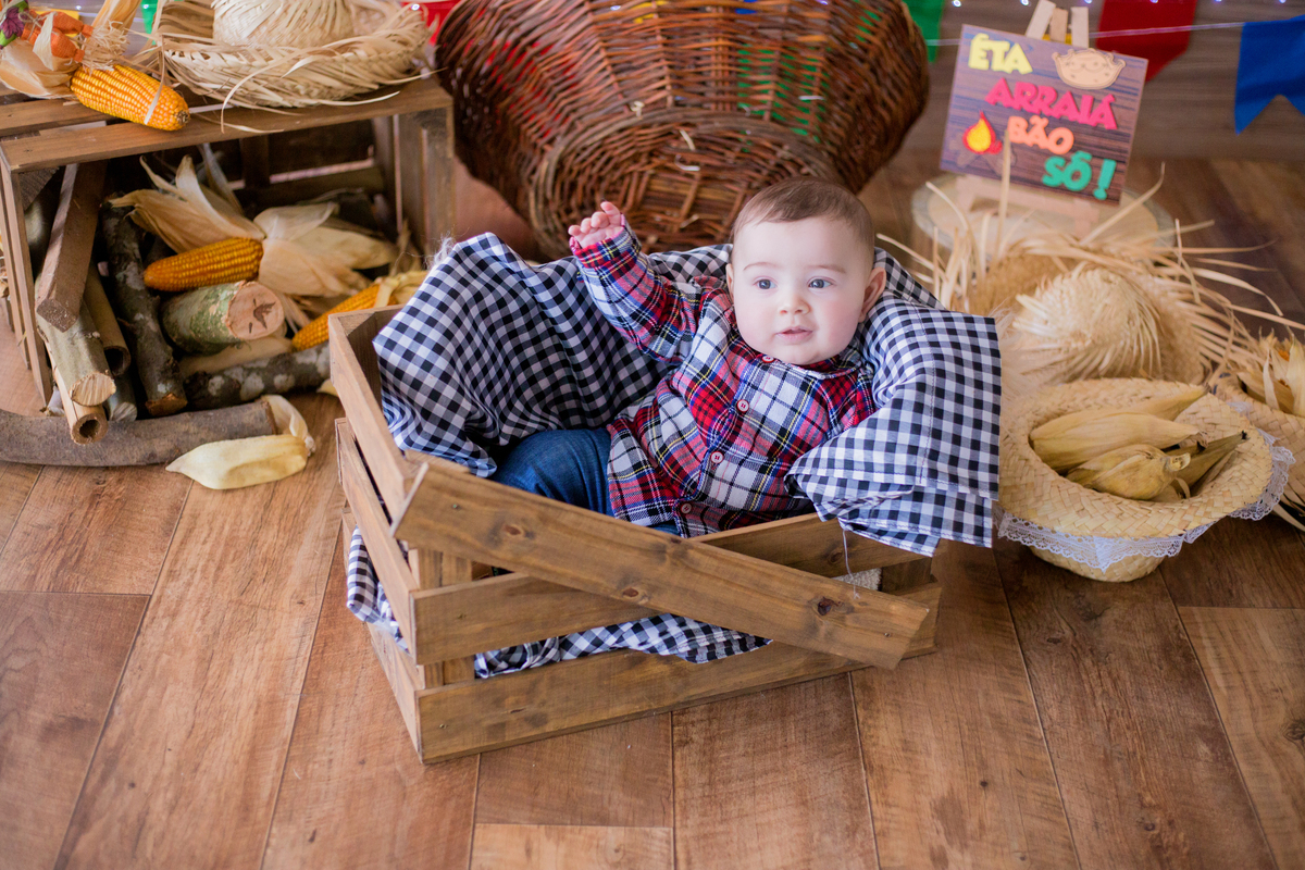 acompanhamento mensal de bebe caxias do sul figurino cenario tematico  personagem foto infantil serra gaucha fotografia familia mundo azul rosa ensaio fotografico crianca newborn baby menino menina smash the cake esmague o bolo banheira urso circo