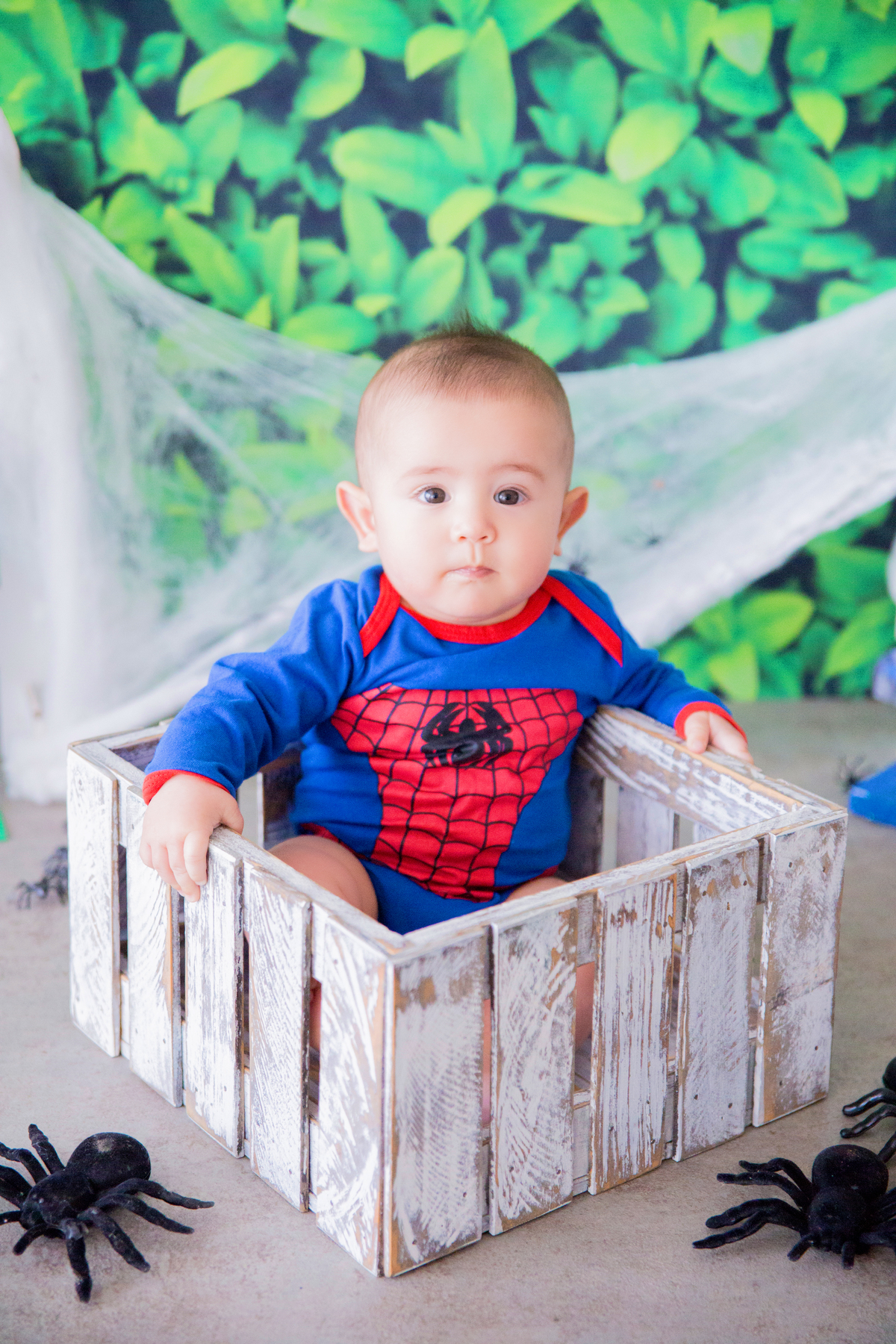 acompanhamento mensal de bebe caxias do sul figurino cenario tematico  personagem foto infantil serra gaucha fotografia familia mundo azul rosa ensaio fotografico crianca newborn baby menino menina smash the cake esmague o bolo banheira urso circo