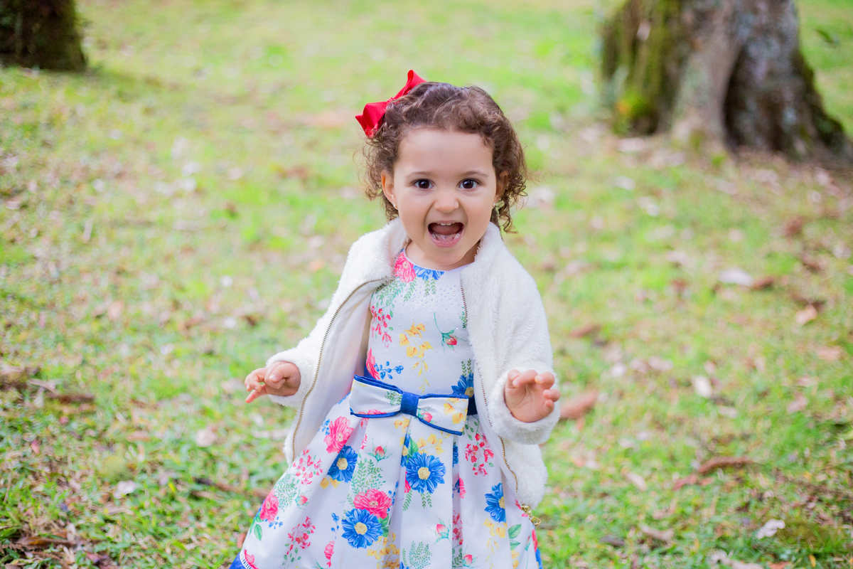 acompanhamento mensal de bebe caxias do sul figurino cenario tematico  personagem foto infantil serra gaucha fotografia familia mundo azul rosa ensaio fotografico crianca newborn baby menino menina smash the cake esmague o bolo banheira urso circo