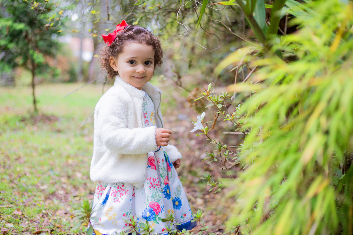 acompanhamento mensal de bebe caxias do sul figurino cenario tematico  personagem foto infantil serra gaucha fotografia familia mundo azul rosa ensaio fotografico crianca newborn baby menino menina smash the cake esmague o bolo banheira urso circo
