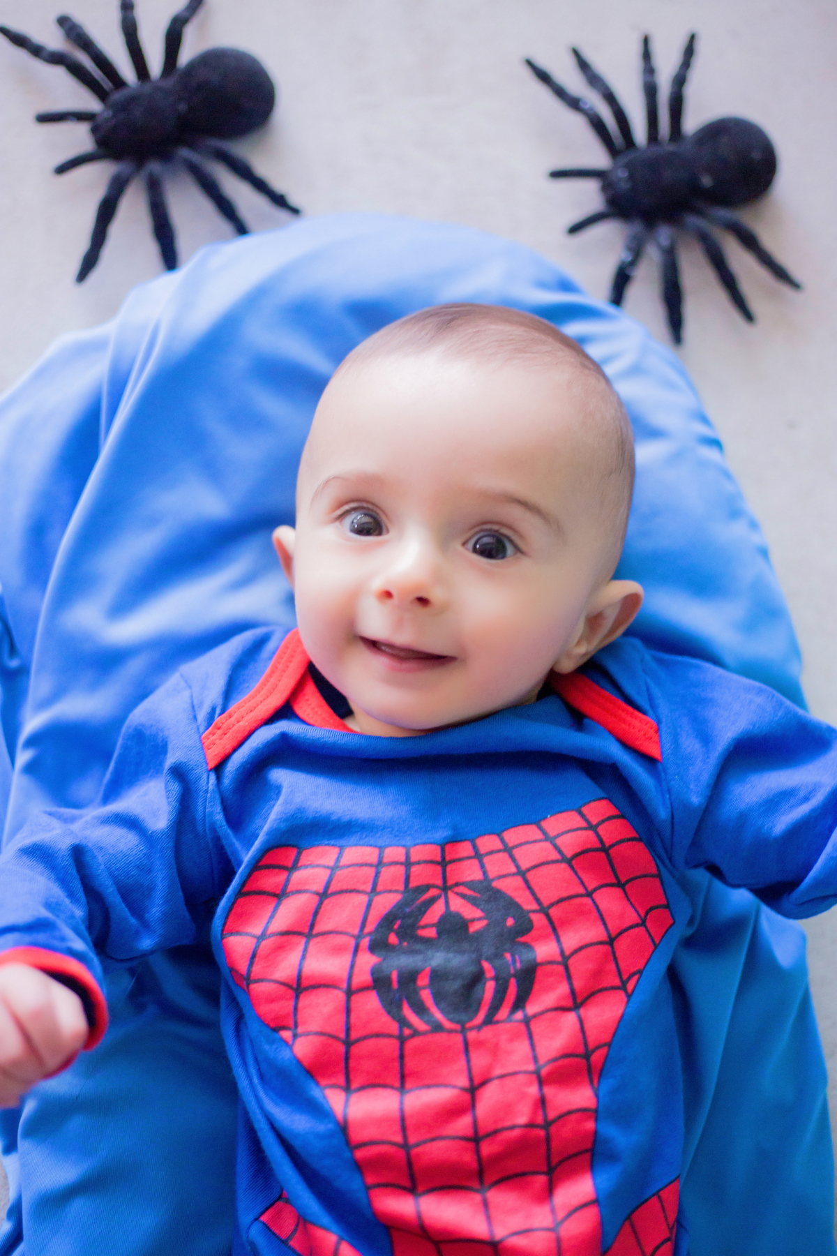 acompanhamento mensal de bebe caxias do sul figurino cenario tematico  personagem foto infantil serra gaucha fotografia familia mundo azul rosa ensaio fotografico crianca newborn baby menino menina smash the cake esmague o bolo banheira urso circo
