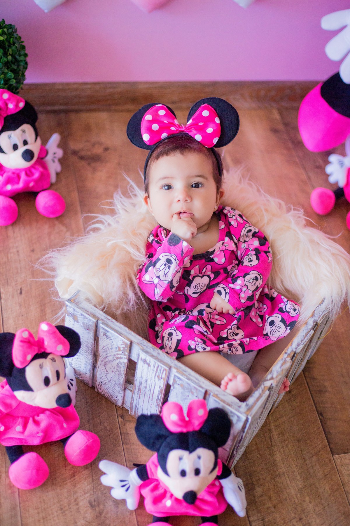 acompanhamento mensal de bebe caxias do sul figurino cenario tematico  personagem foto infantil serra gaucha fotografia familia mundo azul rosa ensaio fotografico crianca newborn baby menino menina smash the cake esmague o bolo banheira urso circo