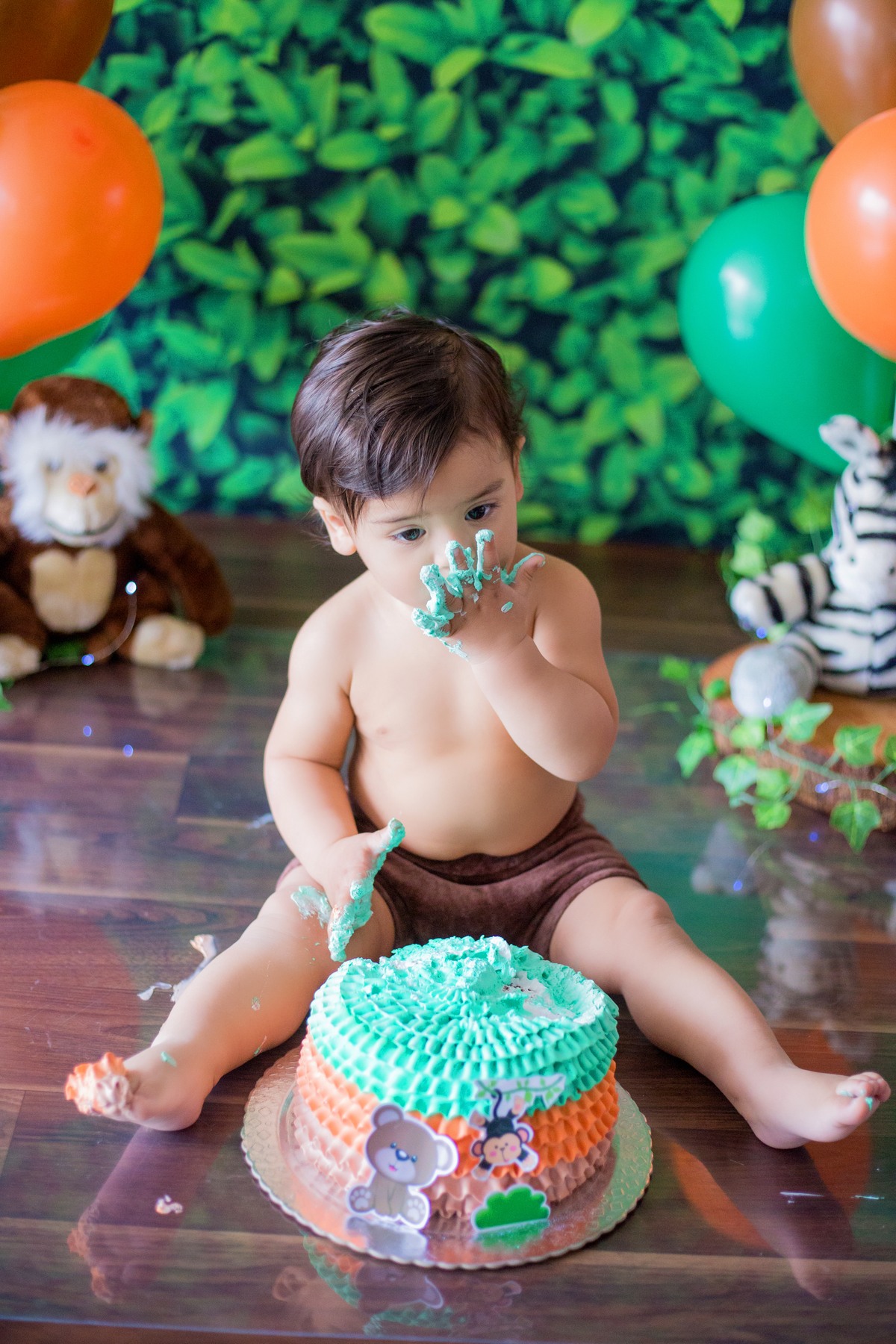 acompanhamento mensal de bebe caxias do sul figurino cenario tematico  personagem foto infantil serra gaucha fotografia familia mundo azul rosa ensaio fotografico crianca newborn baby menino menina smash the cake esmague o bolo banheira urso circo