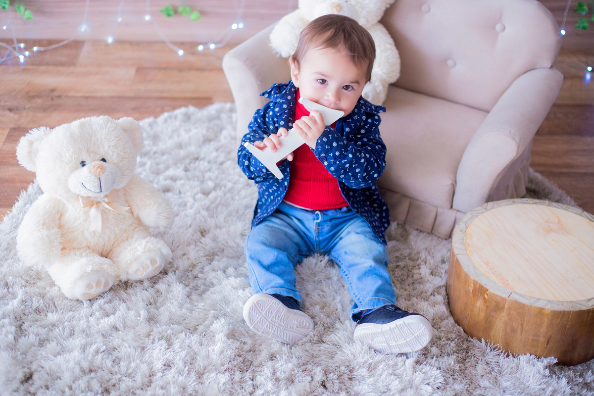 acompanhamento mensal de bebe caxias do sul figurino cenario tematico  personagem foto infantil serra gaucha fotografia familia mundo azul rosa ensaio fotografico crianca newborn baby menino menina smash the cake esmague o bolo banheira urso circo