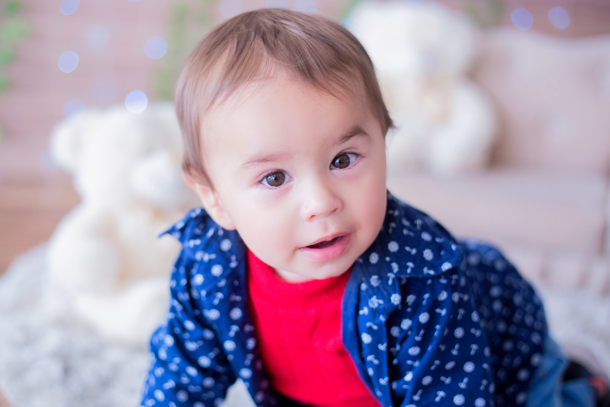acompanhamento mensal de bebe caxias do sul figurino cenario tematico  personagem foto infantil serra gaucha fotografia familia mundo azul rosa ensaio fotografico crianca newborn baby menino menina smash the cake esmague o bolo banheira urso circo