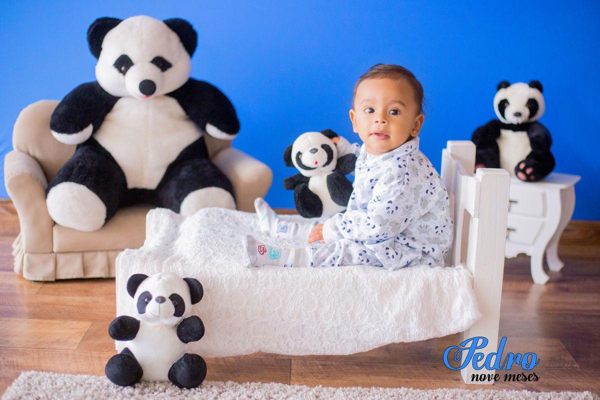 acompanhamento mensal de bebe caxias do sul figurino cenario tematico  personagem foto infantil serra gaucha fotografia familia mundo azul rosa ensaio fotografico crianca newborn baby menino menina smash the cake esmague o bolo banheira urso circo