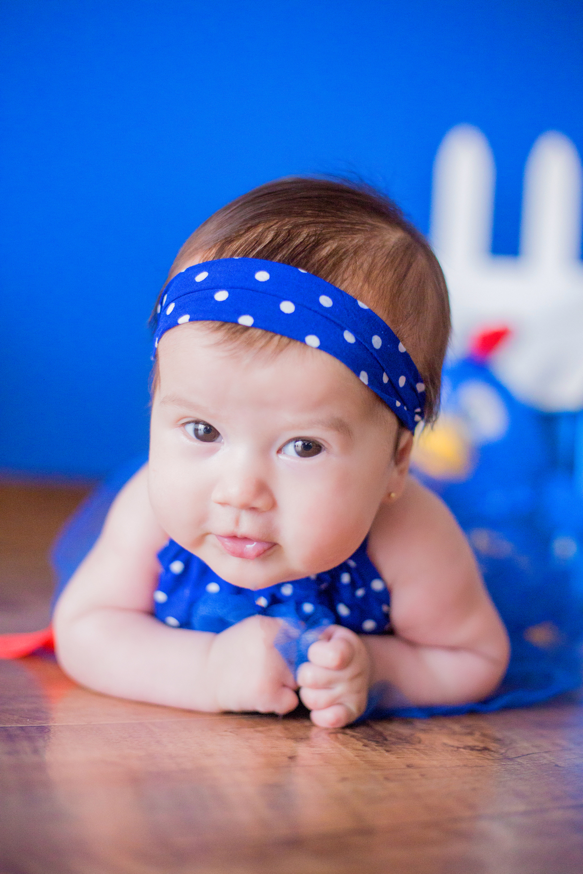 acompanhamento mensal de bebe caxias do sul figurino cenario tematico  personagem foto infantil serra gaucha fotografia familia mundo azul rosa ensaio fotografico crianca newborn baby menino menina smash the cake esmague o bolo banheira urso circo
