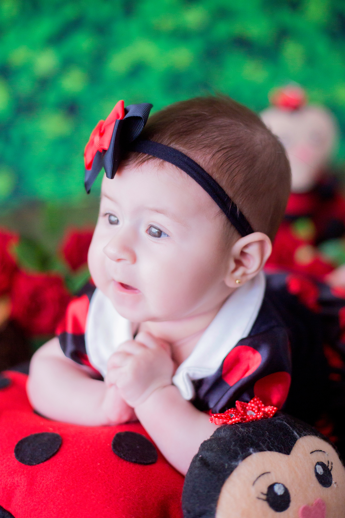 acompanhamento mensal de bebe caxias do sul figurino cenario tematico  personagem foto infantil serra gaucha fotografia familia mundo azul rosa ensaio fotografico crianca newborn baby menino menina smash the cake esmague o bolo banheira urso circo
