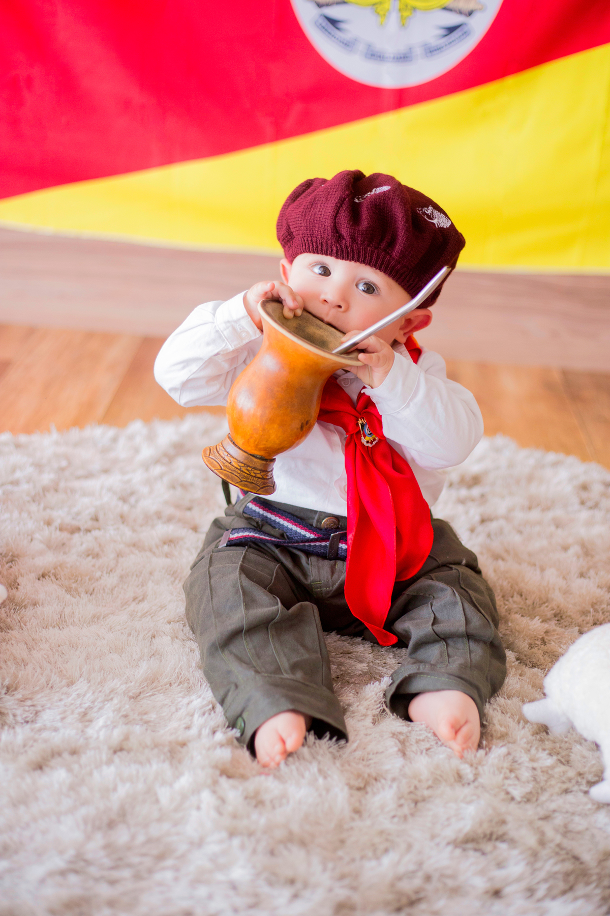 acompanhamento mensal de bebe caxias do sul figurino cenario tematico  personagem foto infantil serra gaucha fotografia familia mundo azul rosa ensaio fotografico crianca newborn baby menino menina smash the cake esmague o bolo banheira urso circo