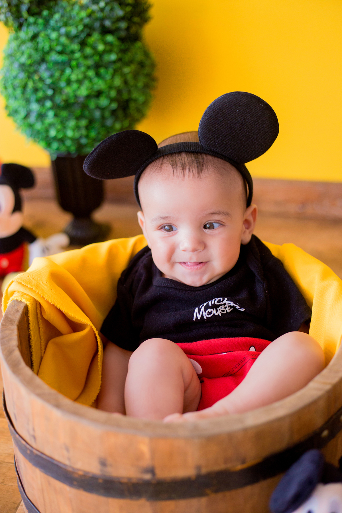 acompanhamento mensal de bebe caxias do sul figurino cenario tematico  personagem foto infantil serra gaucha fotografia familia mundo azul rosa ensaio fotografico crianca newborn baby menino menina smash the cake esmague o bolo banheira urso circo