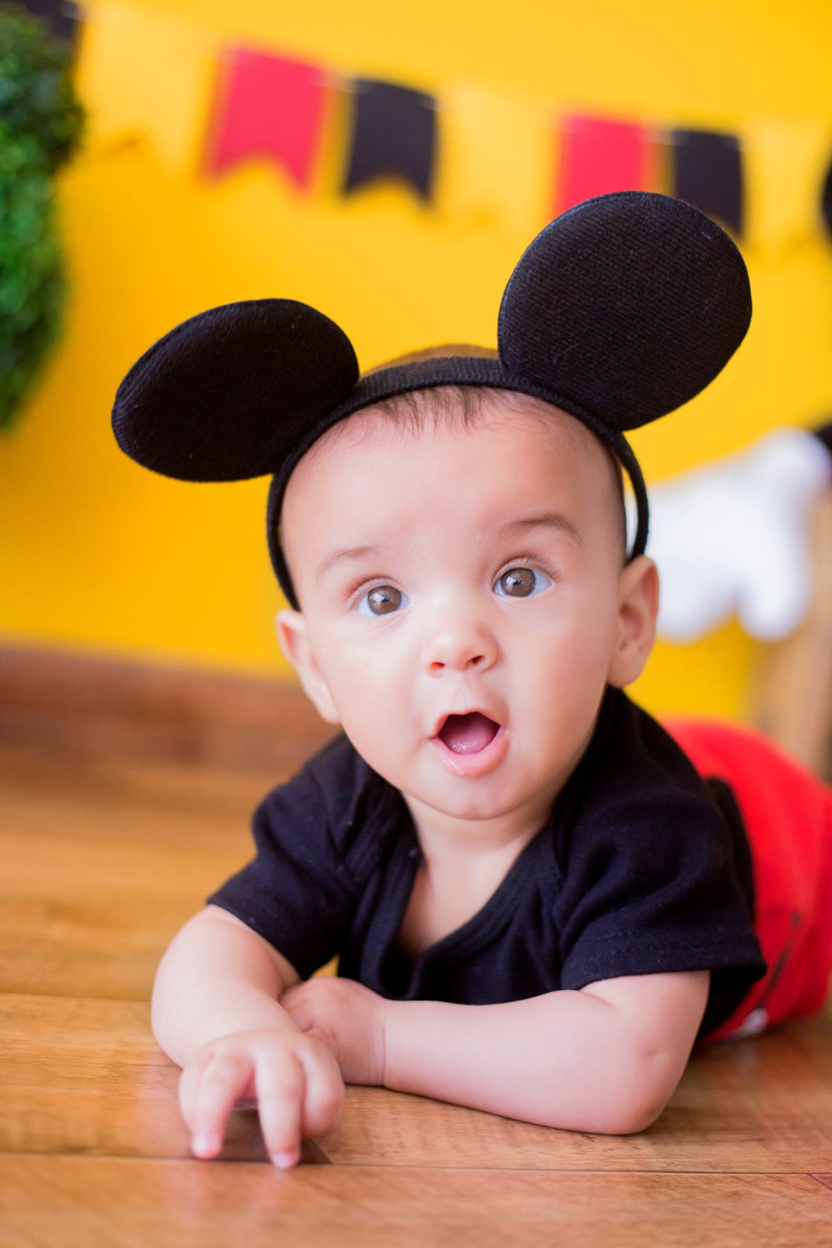 acompanhamento mensal de bebe caxias do sul figurino cenario tematico  personagem foto infantil serra gaucha fotografia familia mundo azul rosa ensaio fotografico crianca newborn baby menino menina smash the cake esmague o bolo banheira urso circo
