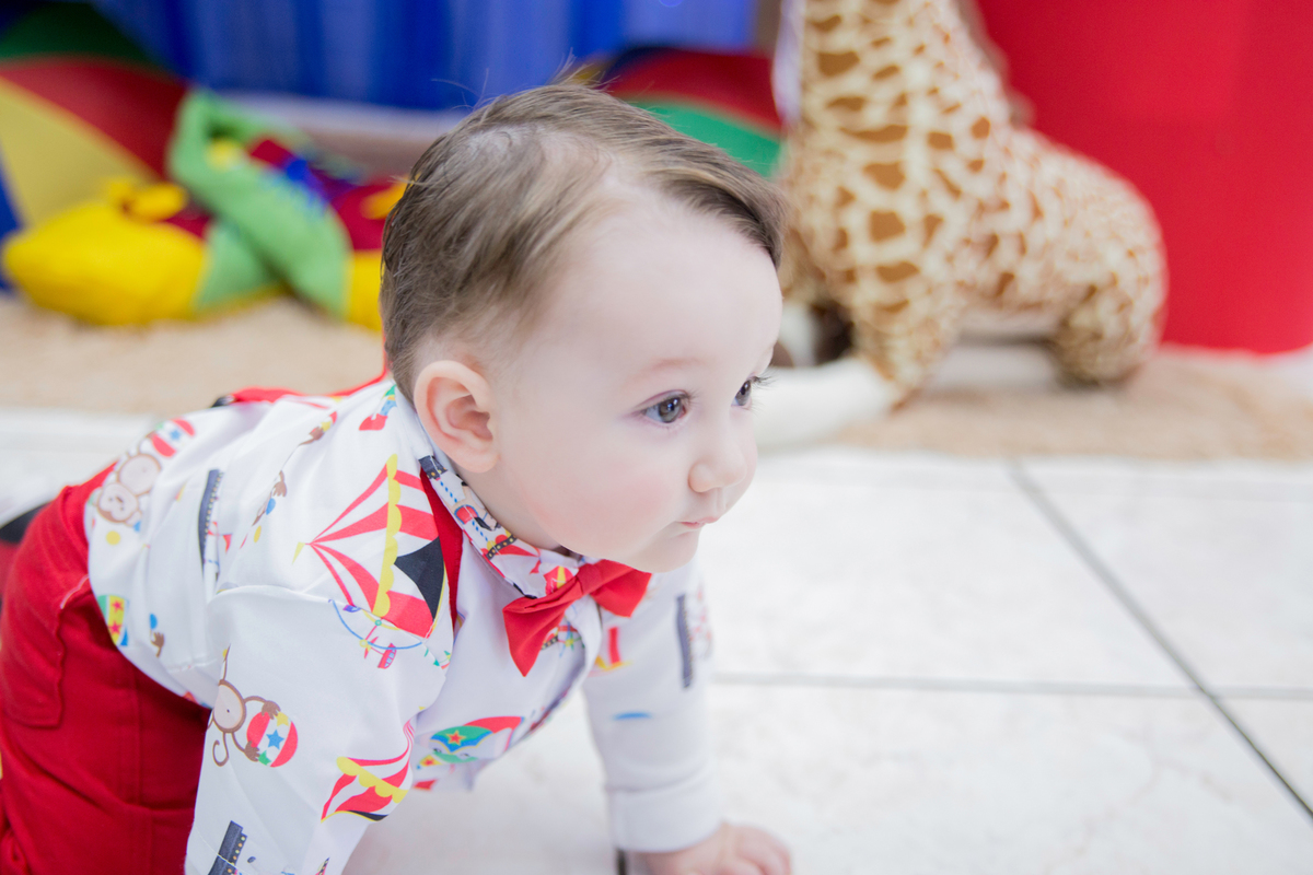 acompanhamento mensal de bebe caxias do sul figurino cenario tematico  personagem foto infantil serra gaucha fotografia familia mundo azul rosa ensaio fotografico crianca newborn baby menino menina smash the cake esmague o bolo banheira urso circo