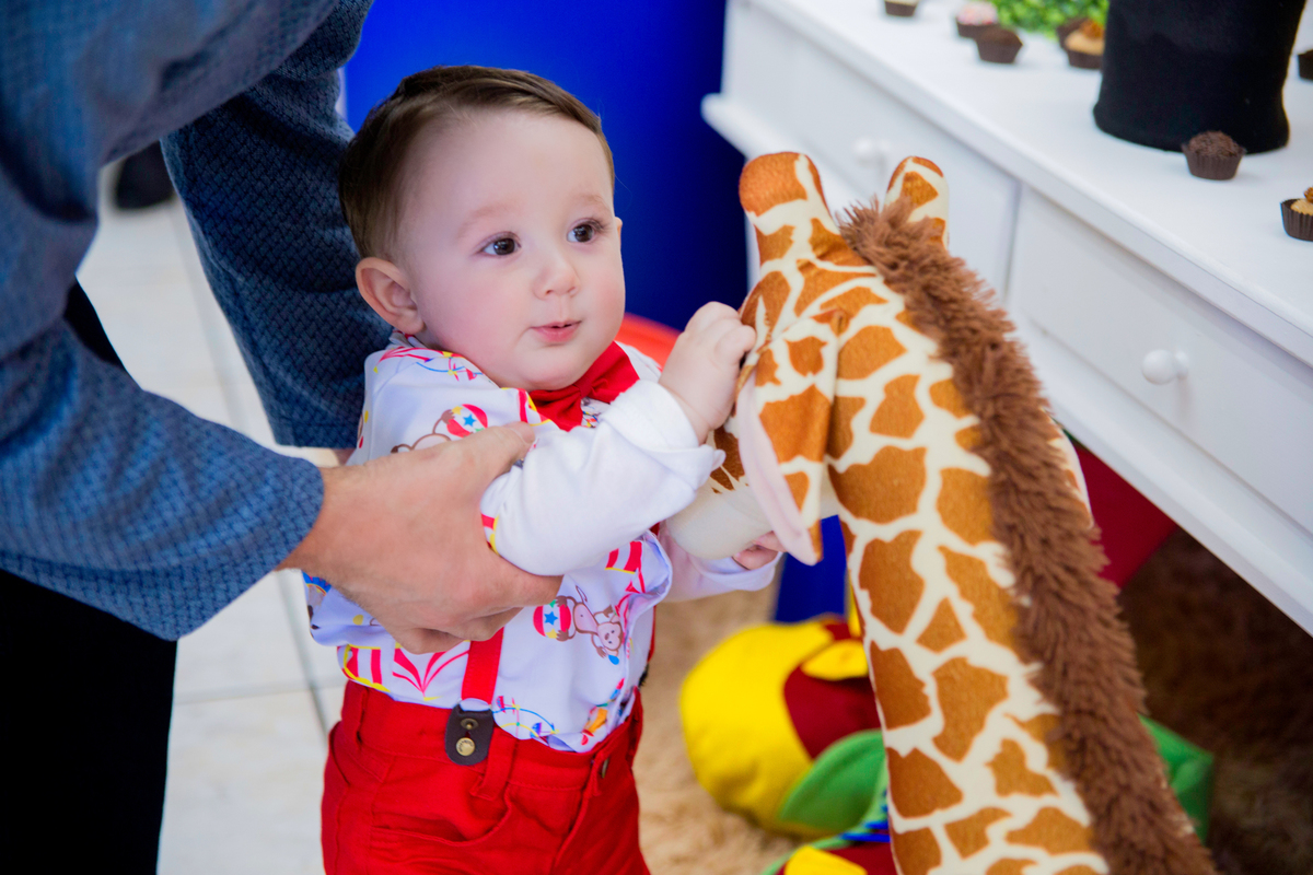 acompanhamento mensal de bebe caxias do sul figurino cenario tematico  personagem foto infantil serra gaucha fotografia familia mundo azul rosa ensaio fotografico crianca newborn baby menino menina smash the cake esmague o bolo banheira urso circo