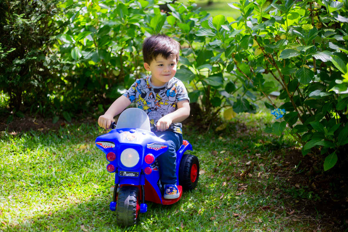 acompanhamento mensal de bebe caxias do sul figurino cenario tematico  personagem foto infantil serra gaucha fotografia familia mundo azul rosa ensaio fotografico crianca newborn baby menino menina smash the cake esmague o bolo banheira urso circo