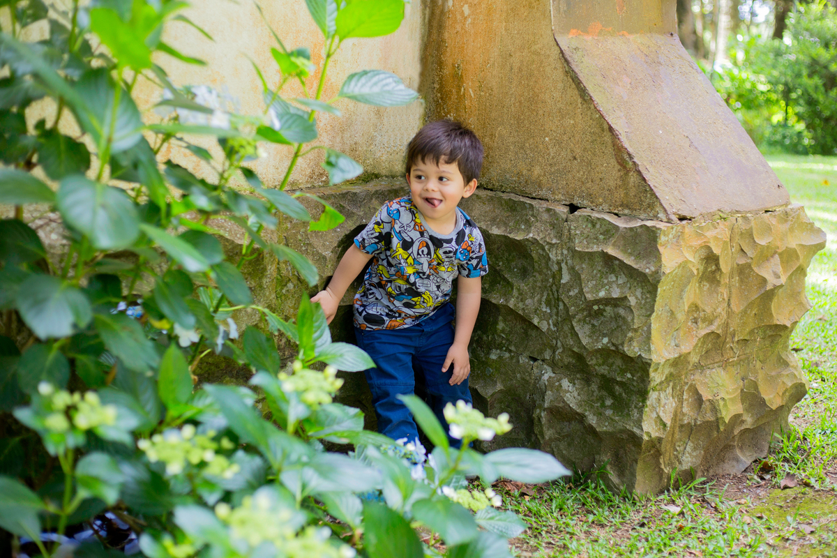acompanhamento mensal de bebe caxias do sul figurino cenario tematico  personagem foto infantil serra gaucha fotografia familia mundo azul rosa ensaio fotografico crianca newborn baby menino menina smash the cake esmague o bolo banheira urso circo