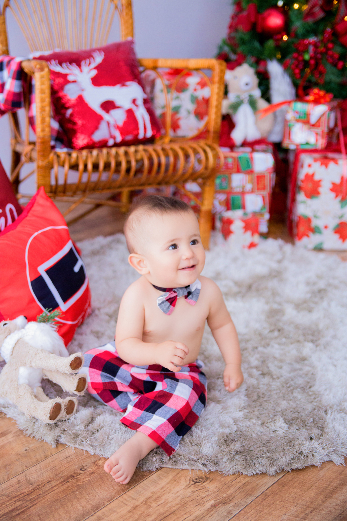acompanhamento mensal de bebe caxias do sul figurino cenario tematico  personagem foto infantil serra gaucha fotografia familia mundo azul rosa ensaio fotografico crianca newborn baby menino menina smash the cake esmague o bolo banheira urso circo