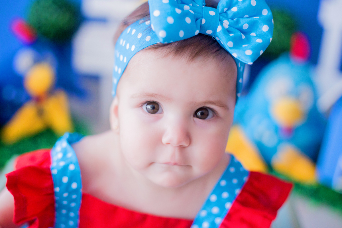 acompanhamento mensal de bebe caxias do sul figurino cenario tematico  personagem foto infantil serra gaucha fotografia familia mundo azul rosa ensaio fotografico crianca newborn baby menino menina smash the cake esmague o bolo banheira urso circo