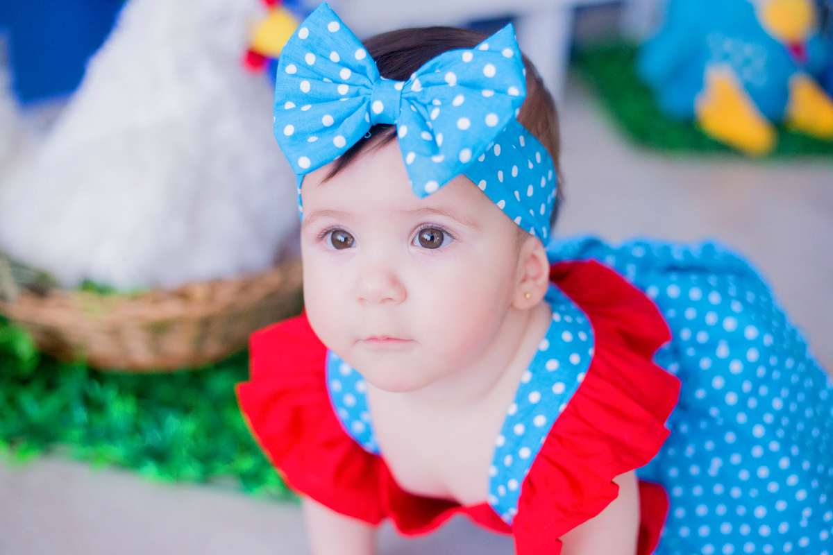 acompanhamento mensal de bebe caxias do sul figurino cenario tematico  personagem foto infantil serra gaucha fotografia familia mundo azul rosa ensaio fotografico crianca newborn baby menino menina smash the cake esmague o bolo banheira urso circo