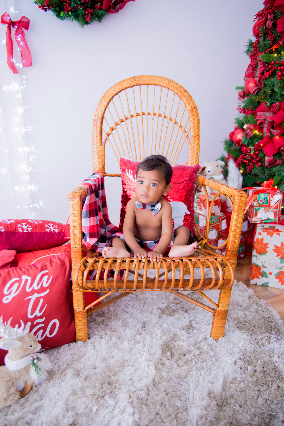 acompanhamento mensal de bebe caxias do sul figurino cenario tematico  personagem foto infantil serra gaucha fotografia familia mundo azul rosa ensaio fotografico crianca newborn baby menino menina smash the cake esmague o bolo banheira urso circo