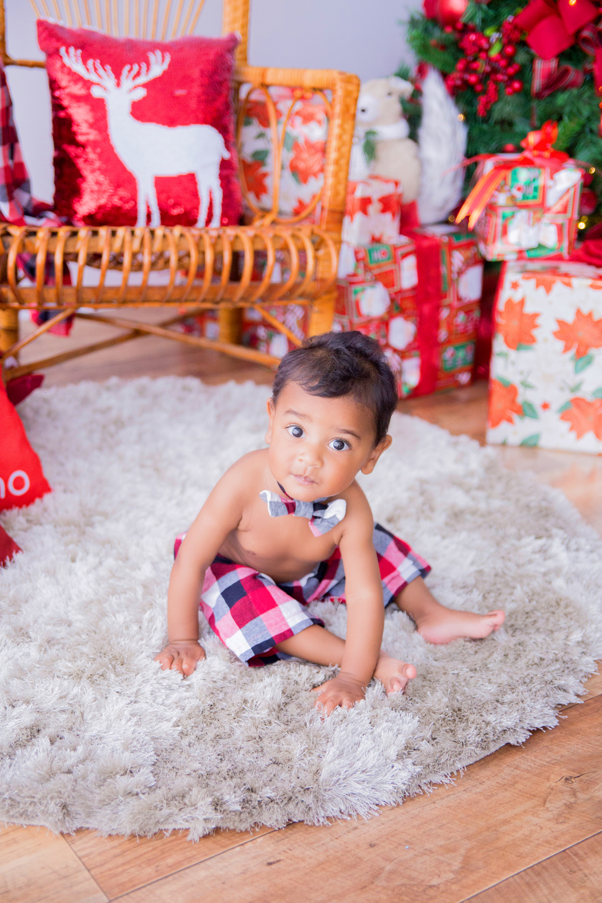 acompanhamento mensal de bebe caxias do sul figurino cenario tematico  personagem foto infantil serra gaucha fotografia familia mundo azul rosa ensaio fotografico crianca newborn baby menino menina smash the cake esmague o bolo banheira urso circo