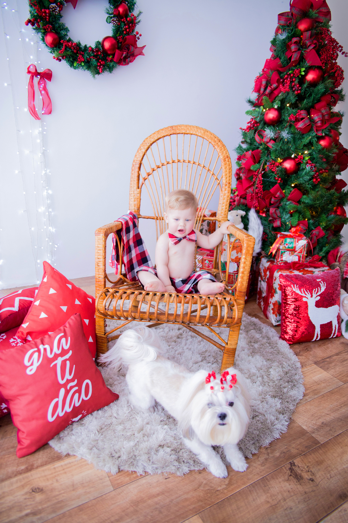 acompanhamento mensal de bebe caxias do sul figurino cenario tematico  personagem foto infantil serra gaucha fotografia familia mundo azul rosa ensaio fotografico crianca newborn baby menino menina smash the cake esmague o bolo banheira urso circo