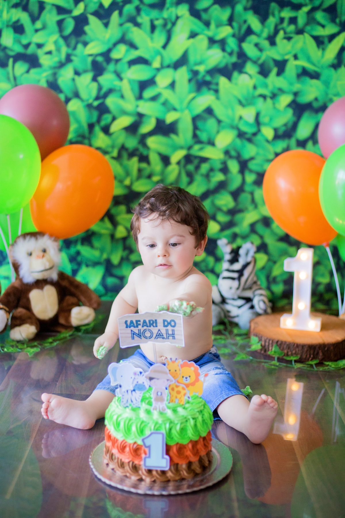acompanhamento mensal de bebe caxias do sul figurino cenario tematico  personagem foto infantil serra gaucha fotografia familia mundo azul rosa ensaio fotografico crianca newborn baby menino menina smash the cake esmague o bolo banheira urso circo