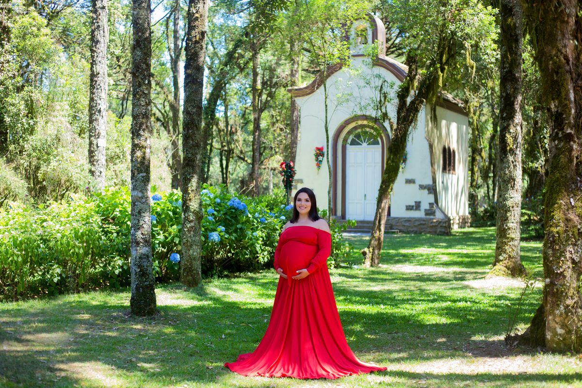 acompanhamento mensal de bebe caxias do sul figurino cenario tematico  personagem foto infantil serra gaucha fotografia familia mundo azul rosa ensaio fotografico crianca newborn baby menino menina smash the cake esmague o bolo banheira urso circo