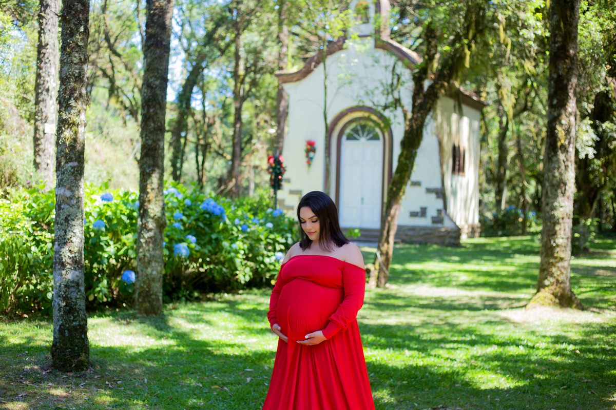 acompanhamento mensal de bebe caxias do sul figurino cenario tematico  personagem foto infantil serra gaucha fotografia familia mundo azul rosa ensaio fotografico crianca newborn baby menino menina smash the cake esmague o bolo banheira urso circo