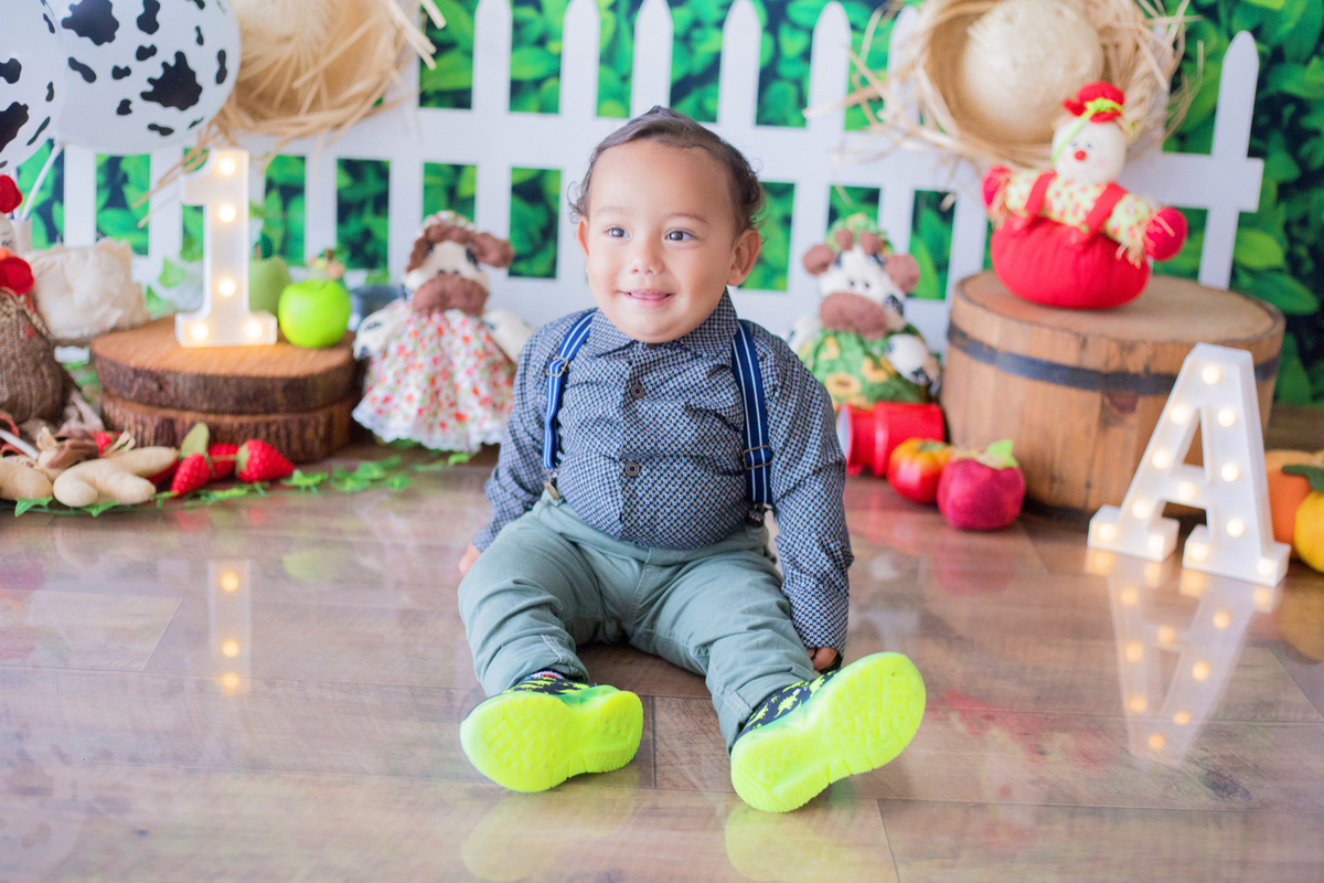 acompanhamento mensal de bebe caxias do sul figurino cenario tematico  personagem foto infantil serra gaucha fotografia familia mundo azul rosa ensaio fotografico crianca newborn baby menino menina smash the cake esmague o bolo banheira urso circo