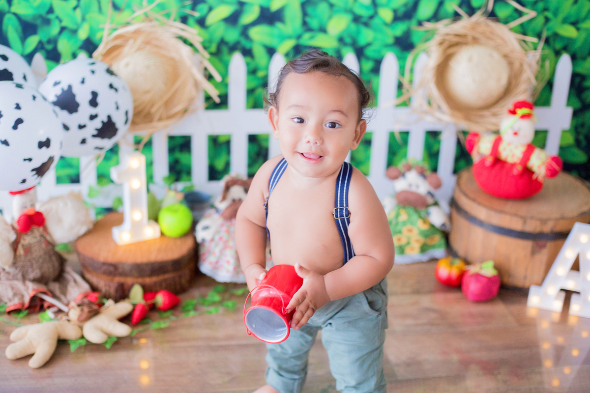 acompanhamento mensal de bebe caxias do sul figurino cenario tematico  personagem foto infantil serra gaucha fotografia familia mundo azul rosa ensaio fotografico crianca newborn baby menino menina smash the cake esmague o bolo banheira urso circo