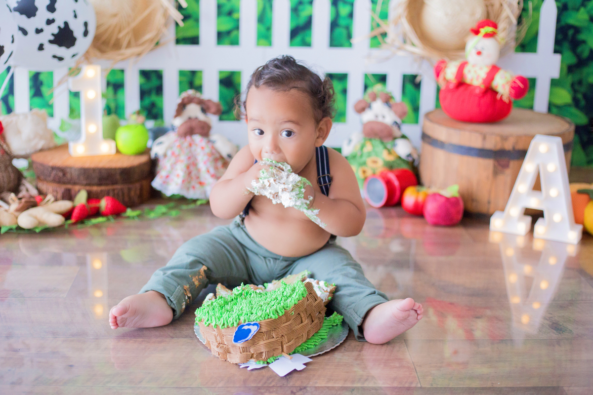 acompanhamento mensal de bebe caxias do sul figurino cenario tematico  personagem foto infantil serra gaucha fotografia familia mundo azul rosa ensaio fotografico crianca newborn baby menino menina smash the cake esmague o bolo banheira urso circo
