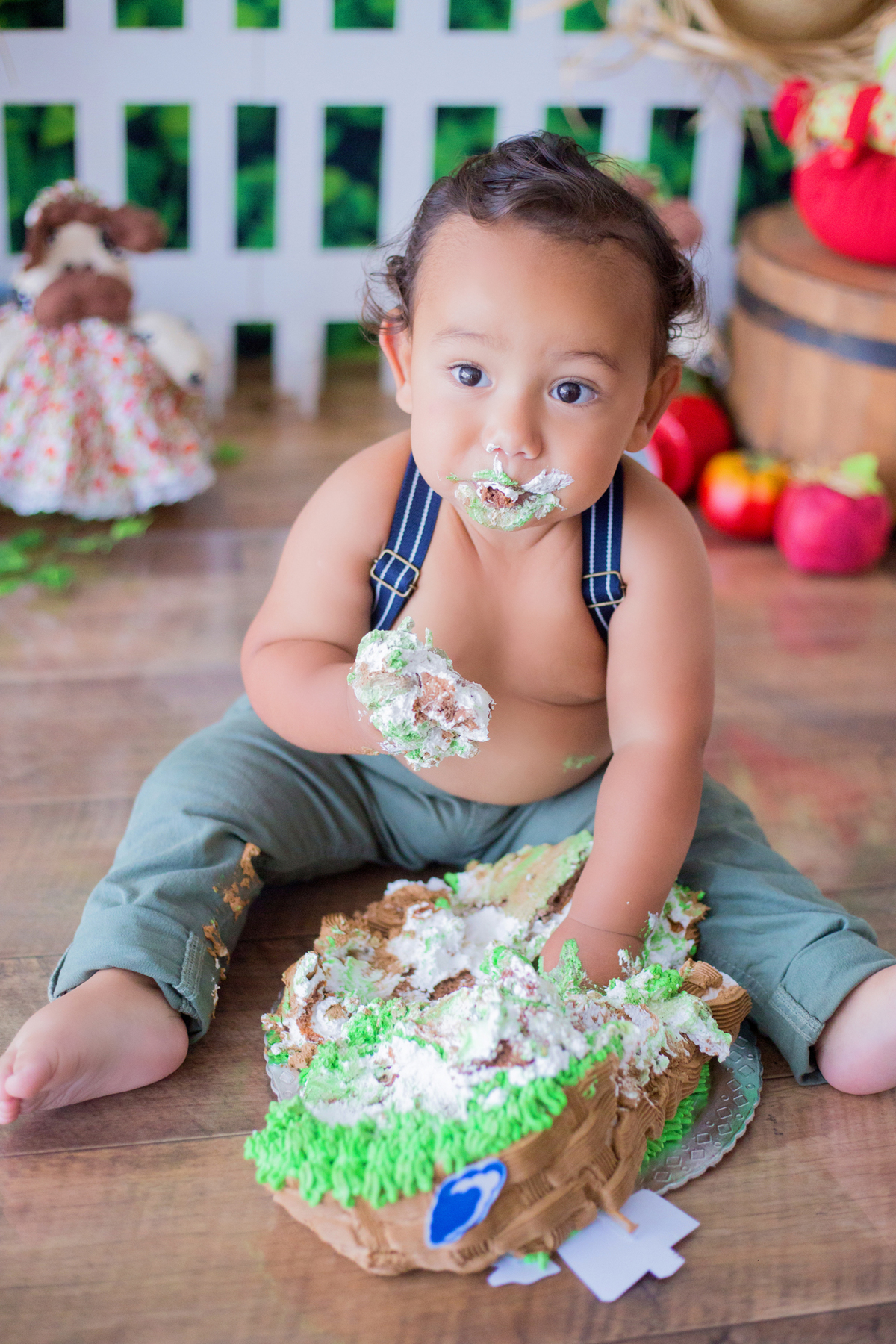 acompanhamento mensal de bebe caxias do sul figurino cenario tematico  personagem foto infantil serra gaucha fotografia familia mundo azul rosa ensaio fotografico crianca newborn baby menino menina smash the cake esmague o bolo banheira urso circo
