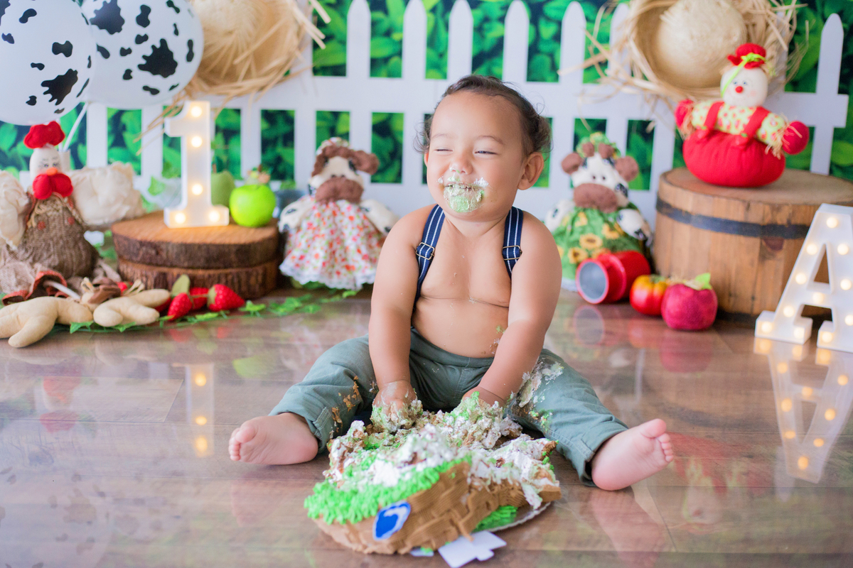 acompanhamento mensal de bebe caxias do sul figurino cenario tematico  personagem foto infantil serra gaucha fotografia familia mundo azul rosa ensaio fotografico crianca newborn baby menino menina smash the cake esmague o bolo banheira urso circo
