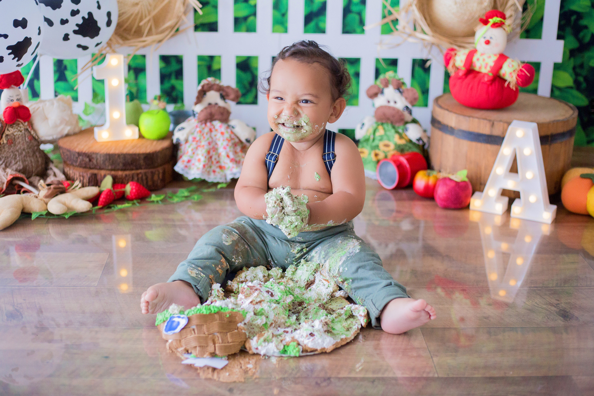 acompanhamento mensal de bebe caxias do sul figurino cenario tematico  personagem foto infantil serra gaucha fotografia familia mundo azul rosa ensaio fotografico crianca newborn baby menino menina smash the cake esmague o bolo banheira urso circo