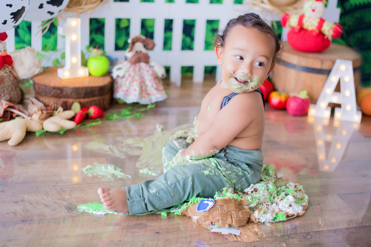 acompanhamento mensal de bebe caxias do sul figurino cenario tematico  personagem foto infantil serra gaucha fotografia familia mundo azul rosa ensaio fotografico crianca newborn baby menino menina smash the cake esmague o bolo banheira urso circo