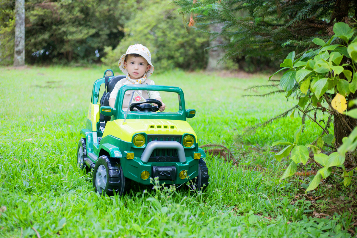 acompanhamento mensal de bebe caxias do sul figurino cenario tematico  personagem foto infantil serra gaucha fotografia familia mundo azul rosa ensaio fotografico crianca newborn baby menino menina smash the cake esmague o bolo banheira urso circo