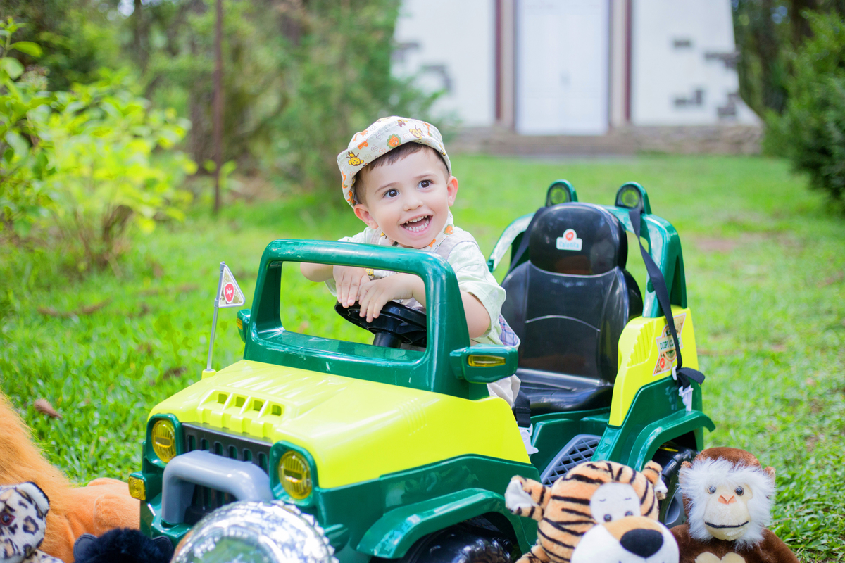 acompanhamento mensal de bebe caxias do sul figurino cenario tematico  personagem foto infantil serra gaucha fotografia familia mundo azul rosa ensaio fotografico crianca newborn baby menino menina smash the cake esmague o bolo banheira urso circo