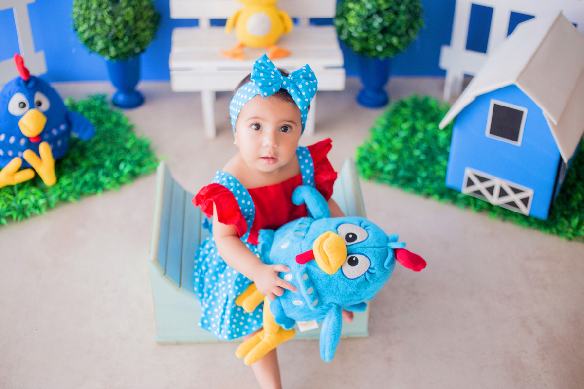 acompanhamento mensal de bebe caxias do sul figurino cenario tematico  personagem foto infantil serra gaucha fotografia familia mundo azul rosa ensaio fotografico crianca newborn baby menino menina smash the cake esmague o bolo banheira urso circo