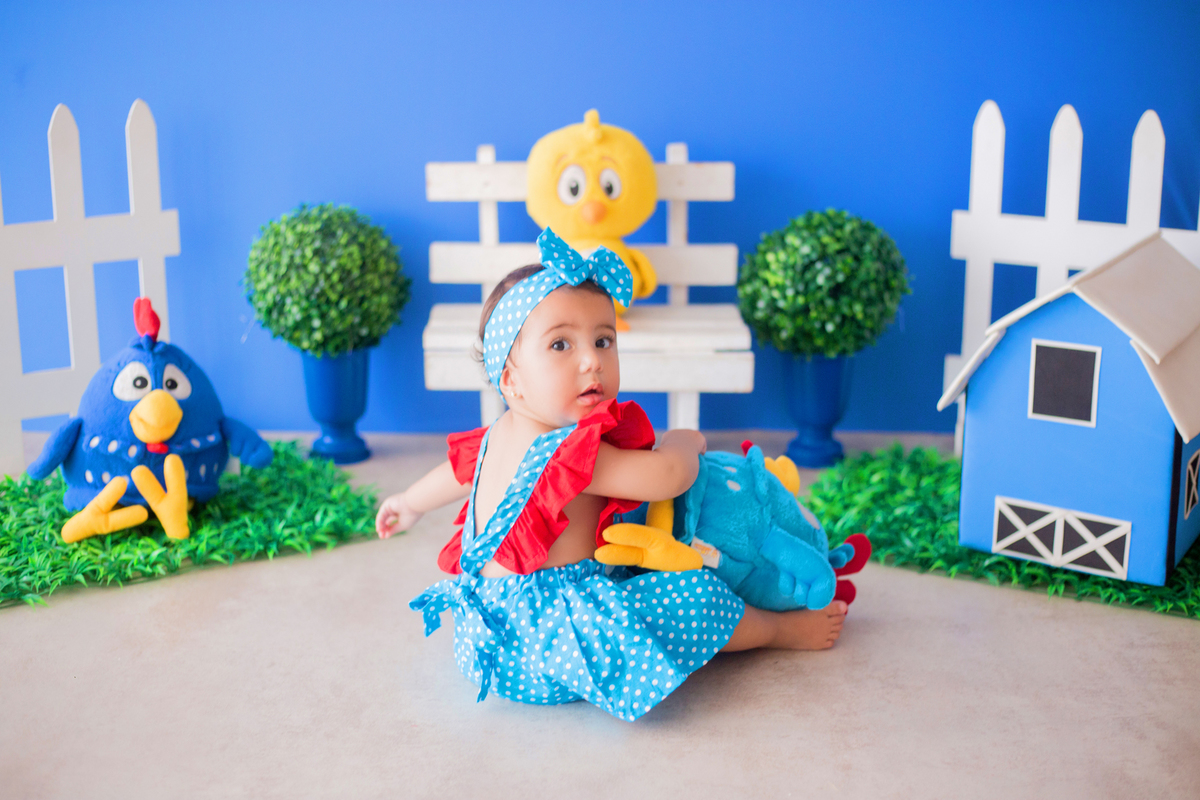 acompanhamento mensal de bebe caxias do sul figurino cenario tematico  personagem foto infantil serra gaucha fotografia familia mundo azul rosa ensaio fotografico crianca newborn baby menino menina smash the cake esmague o bolo banheira urso circo