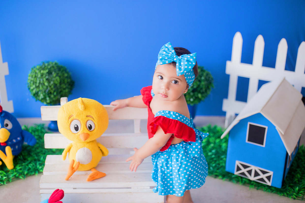 acompanhamento mensal de bebe caxias do sul figurino cenario tematico  personagem foto infantil serra gaucha fotografia familia mundo azul rosa ensaio fotografico crianca newborn baby menino menina smash the cake esmague o bolo banheira urso circo