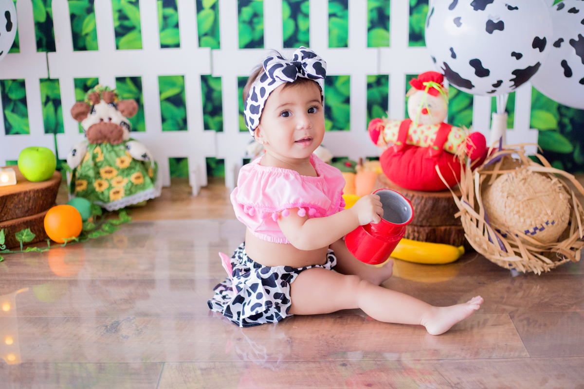 acompanhamento mensal de bebe caxias do sul figurino cenario tematico  personagem foto infantil serra gaucha fotografia familia mundo azul rosa ensaio fotografico crianca newborn baby menino menina smash the cake esmague o bolo banheira urso circo
