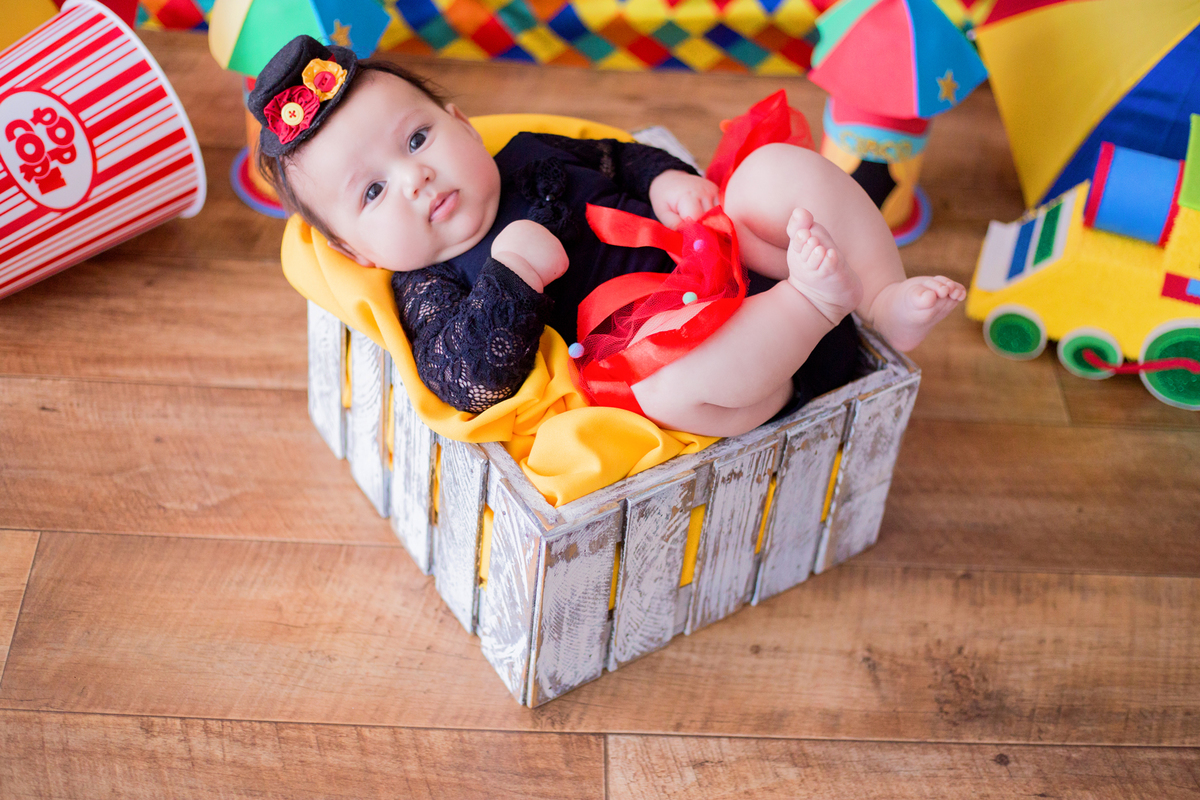acompanhamento mensal de bebe caxias do sul figurino cenario tematico  personagem foto infantil serra gaucha fotografia familia mundo azul rosa ensaio fotografico crianca newborn baby menino menina smash the cake esmague o bolo banheira urso circo