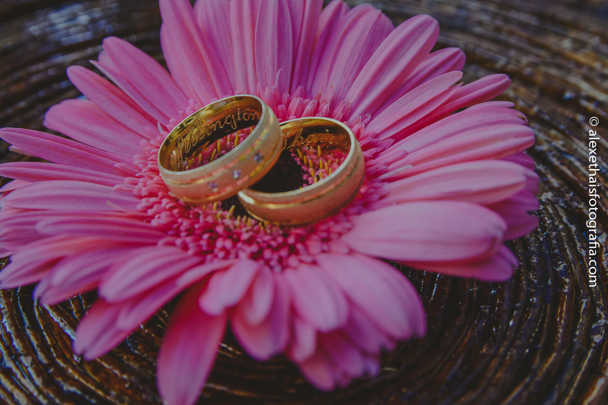 Fotos Alianças dos noivos, detalhes de casamento, festa de casamento, recepção no vale verde