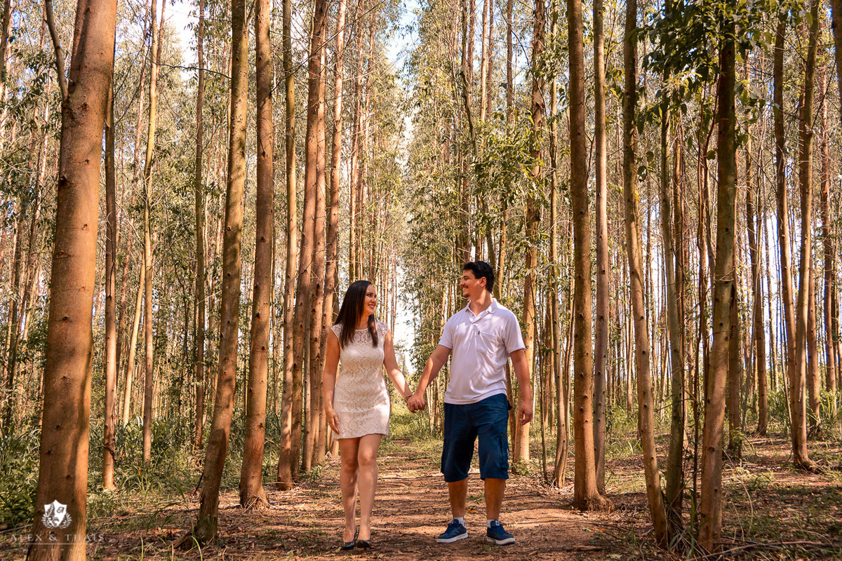 Ensaio Pre Wedding Holambra, Ensaio Casal Fernanda e Jose, com Theos Turismo Holambra.