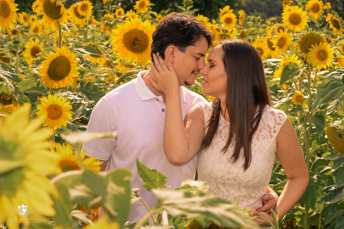 Ensaio Pre Wedding Holambra, Ensaio Casal Fernanda e Jose, com Theos Turismo Holambra.