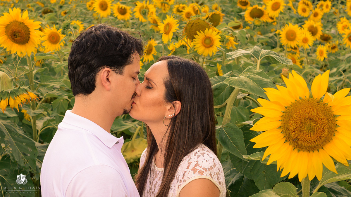 Ensaio Pre Wedding Holambra, Ensaio Casal Fernanda e Jose, com Theos Turismo Holambra.
